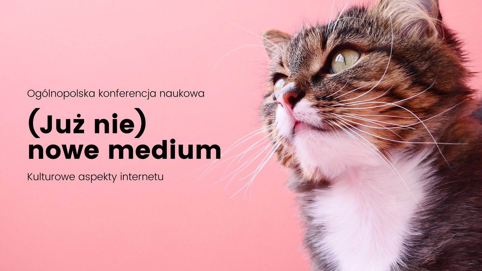 Konferencja (Już nie) nowe medium. Kulturowe aspekty internetu